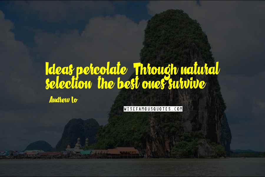 Andrew Lo Quotes: Ideas percolate. Through natural selection, the best ones survive.