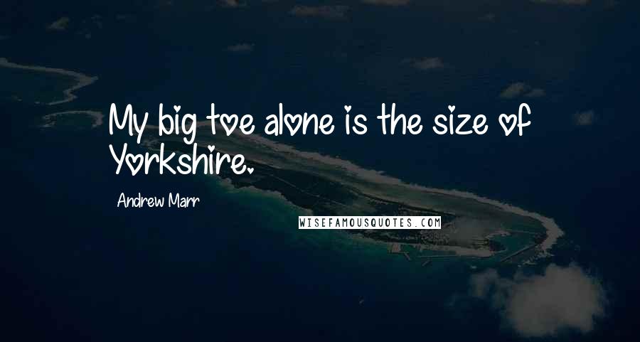 Andrew Marr Quotes: My big toe alone is the size of Yorkshire.