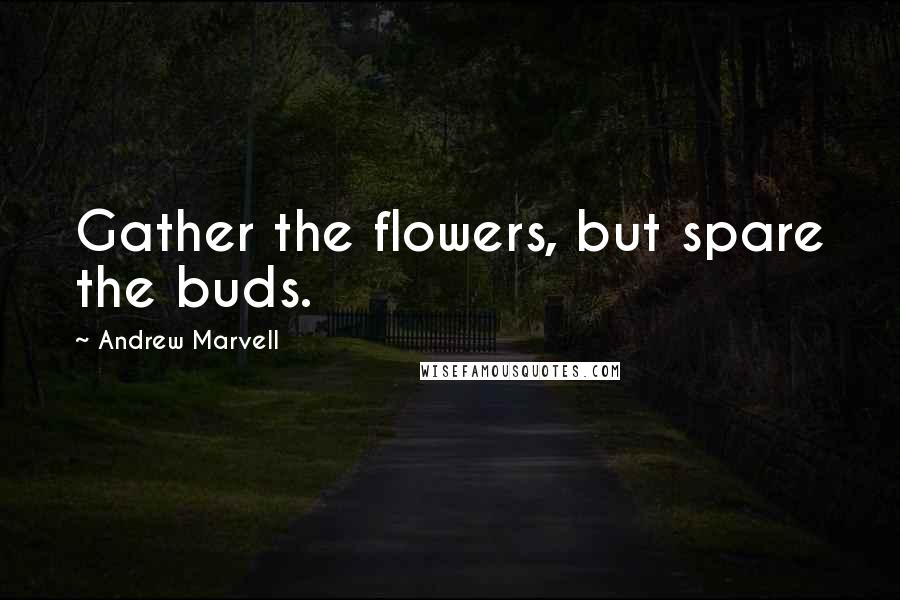 Andrew Marvell Quotes: Gather the flowers, but spare the buds.