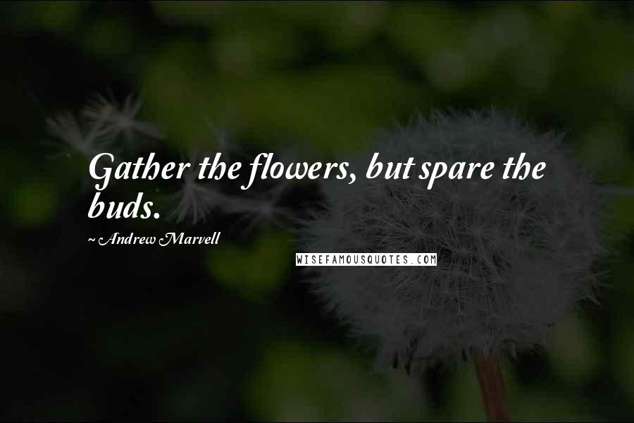 Andrew Marvell Quotes: Gather the flowers, but spare the buds.