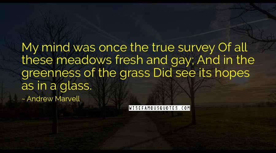 Andrew Marvell Quotes: My mind was once the true survey Of all these meadows fresh and gay; And in the greenness of the grass Did see its hopes as in a glass.