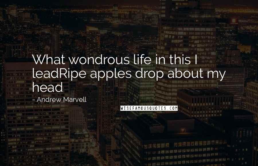 Andrew Marvell Quotes: What wondrous life in this I leadRipe apples drop about my head