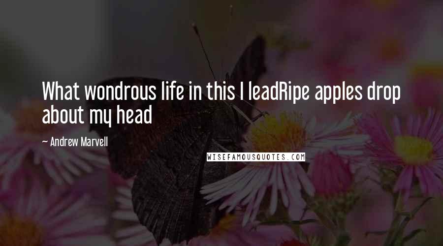 Andrew Marvell Quotes: What wondrous life in this I leadRipe apples drop about my head