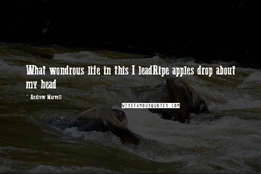 Andrew Marvell Quotes: What wondrous life in this I leadRipe apples drop about my head