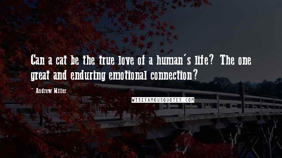 Andrew Miller Quotes: Can a cat be the true love of a human's life? The one great and enduring emotional connection?