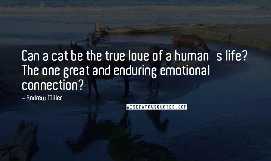 Andrew Miller Quotes: Can a cat be the true love of a human's life? The one great and enduring emotional connection?