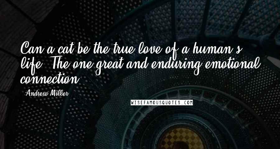 Andrew Miller Quotes: Can a cat be the true love of a human's life? The one great and enduring emotional connection?