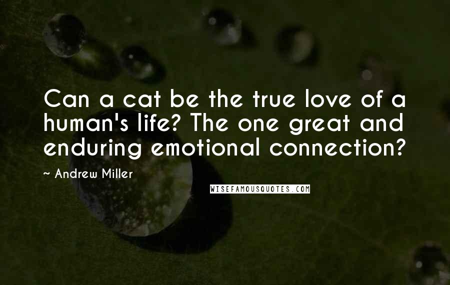 Andrew Miller Quotes: Can a cat be the true love of a human's life? The one great and enduring emotional connection?