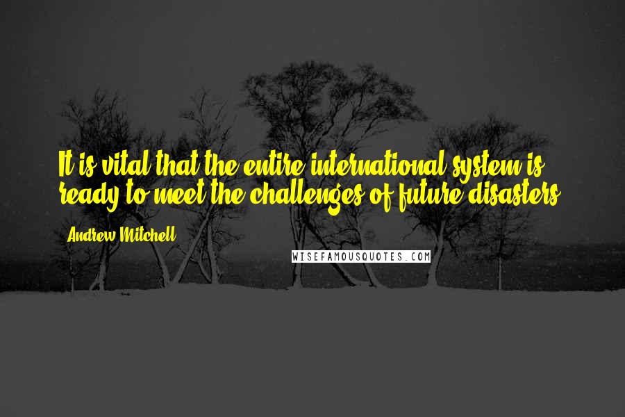 Andrew Mitchell Quotes: It is vital that the entire international system is ready to meet the challenges of future disasters.