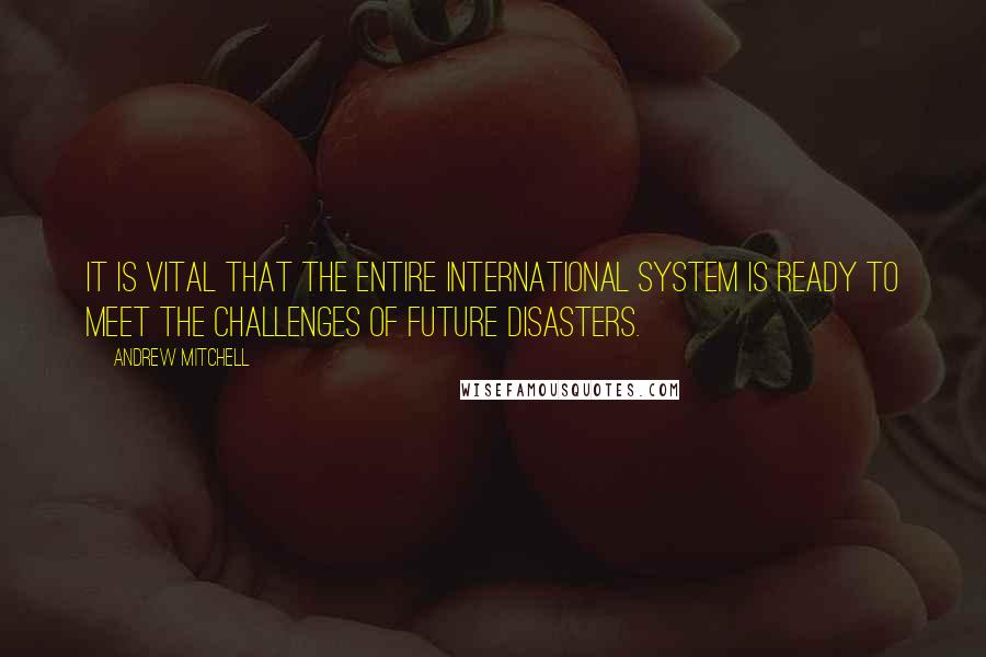 Andrew Mitchell Quotes: It is vital that the entire international system is ready to meet the challenges of future disasters.