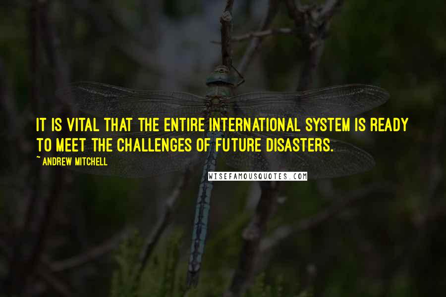 Andrew Mitchell Quotes: It is vital that the entire international system is ready to meet the challenges of future disasters.