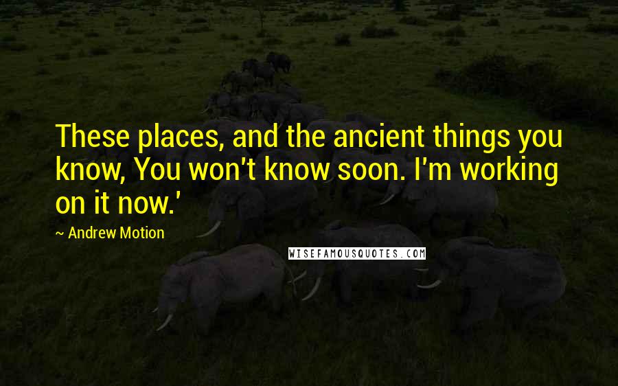 Andrew Motion Quotes: These places, and the ancient things you know, You won't know soon. I'm working on it now.'