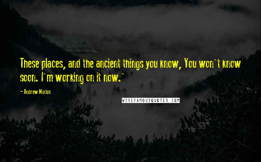 Andrew Motion Quotes: These places, and the ancient things you know, You won't know soon. I'm working on it now.'