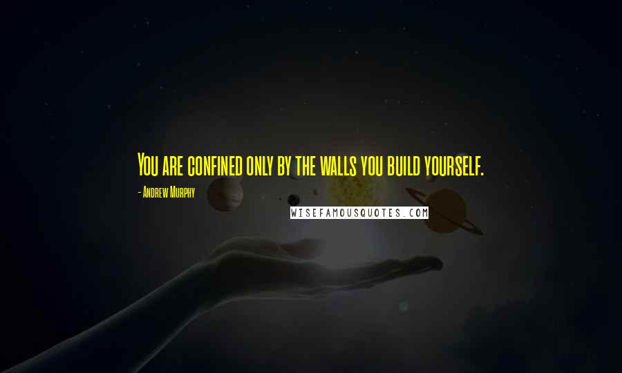 Andrew Murphy Quotes: You are confined only by the walls you build yourself.