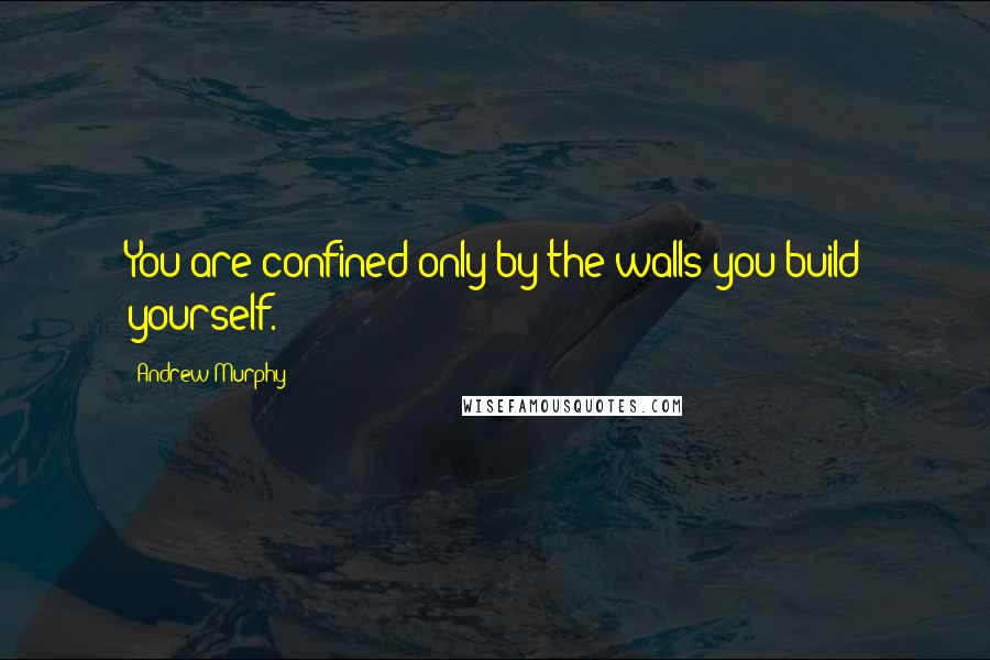 Andrew Murphy Quotes: You are confined only by the walls you build yourself.