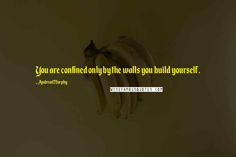 Andrew Murphy Quotes: You are confined only by the walls you build yourself.