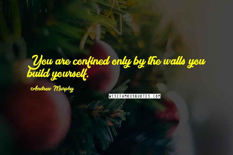 Andrew Murphy Quotes: You are confined only by the walls you build yourself.