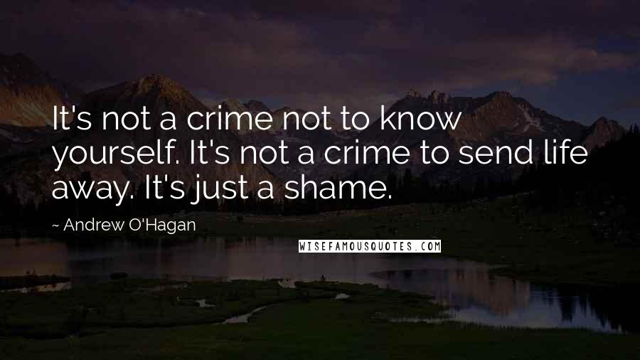Andrew O'Hagan Quotes: It's not a crime not to know yourself. It's not a crime to send life away. It's just a shame.