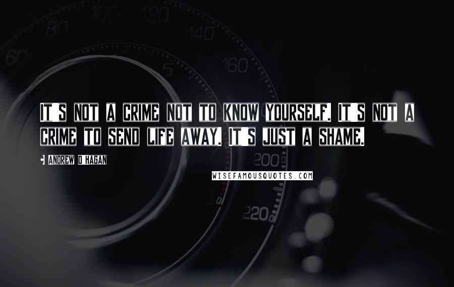 Andrew O'Hagan Quotes: It's not a crime not to know yourself. It's not a crime to send life away. It's just a shame.