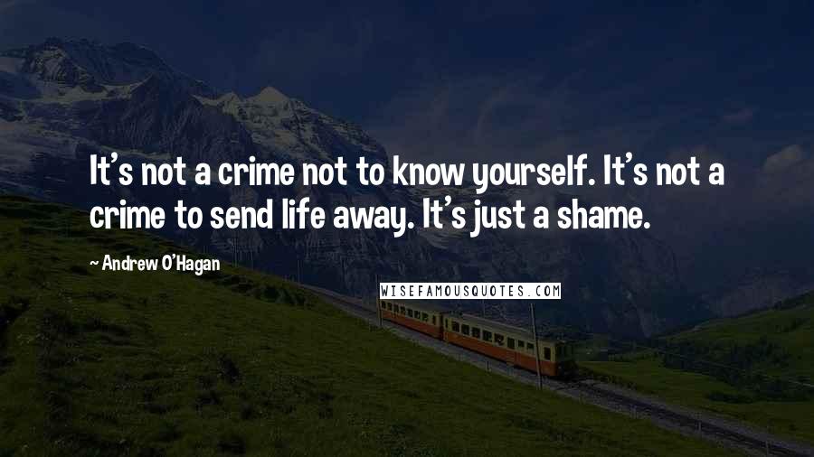 Andrew O'Hagan Quotes: It's not a crime not to know yourself. It's not a crime to send life away. It's just a shame.