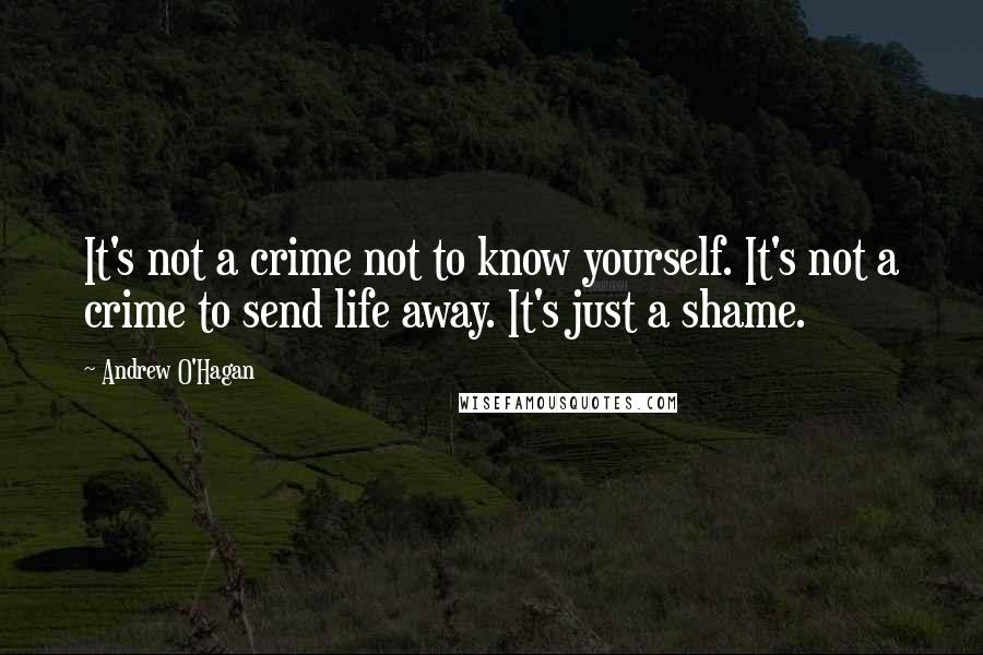 Andrew O'Hagan Quotes: It's not a crime not to know yourself. It's not a crime to send life away. It's just a shame.