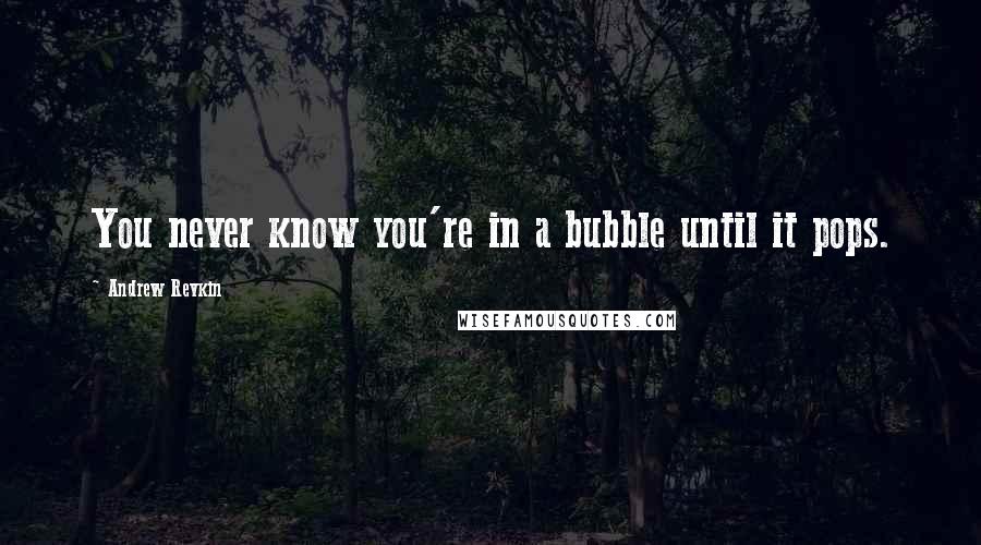 Andrew Revkin Quotes: You never know you're in a bubble until it pops.
