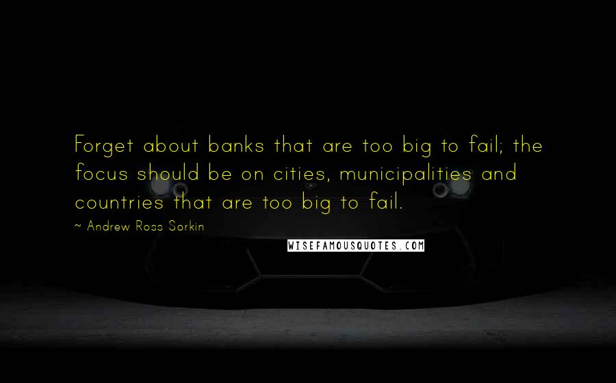 Andrew Ross Sorkin Quotes: Forget about banks that are too big to fail; the focus should be on cities, municipalities and countries that are too big to fail.