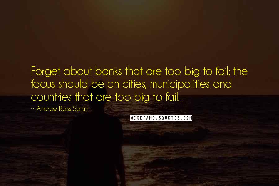 Andrew Ross Sorkin Quotes: Forget about banks that are too big to fail; the focus should be on cities, municipalities and countries that are too big to fail.
