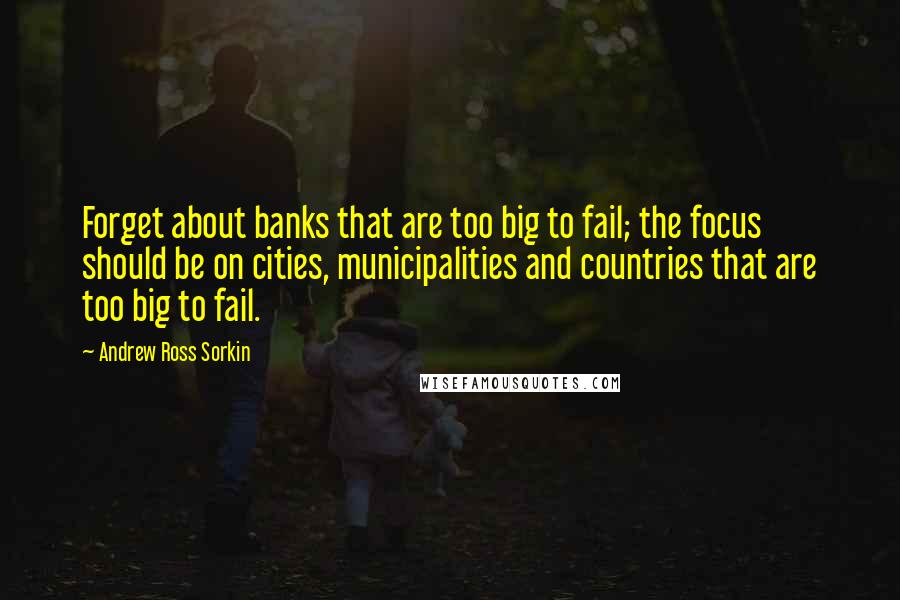 Andrew Ross Sorkin Quotes: Forget about banks that are too big to fail; the focus should be on cities, municipalities and countries that are too big to fail.