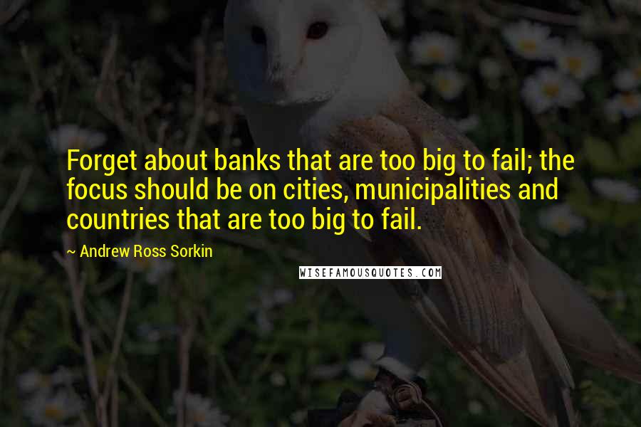 Andrew Ross Sorkin Quotes: Forget about banks that are too big to fail; the focus should be on cities, municipalities and countries that are too big to fail.