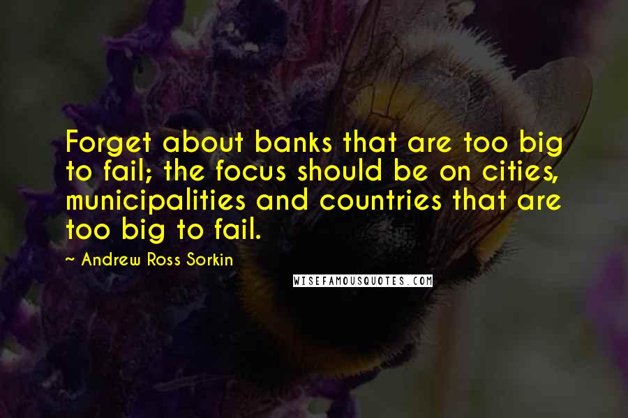 Andrew Ross Sorkin Quotes: Forget about banks that are too big to fail; the focus should be on cities, municipalities and countries that are too big to fail.
