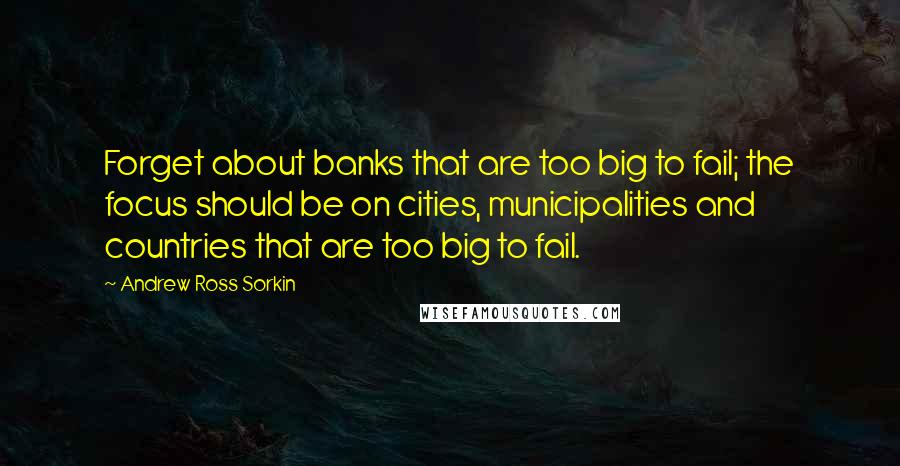 Andrew Ross Sorkin Quotes: Forget about banks that are too big to fail; the focus should be on cities, municipalities and countries that are too big to fail.