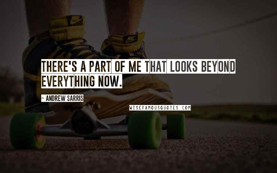Andrew Sarris Quotes: There's a part of me that looks beyond everything now.