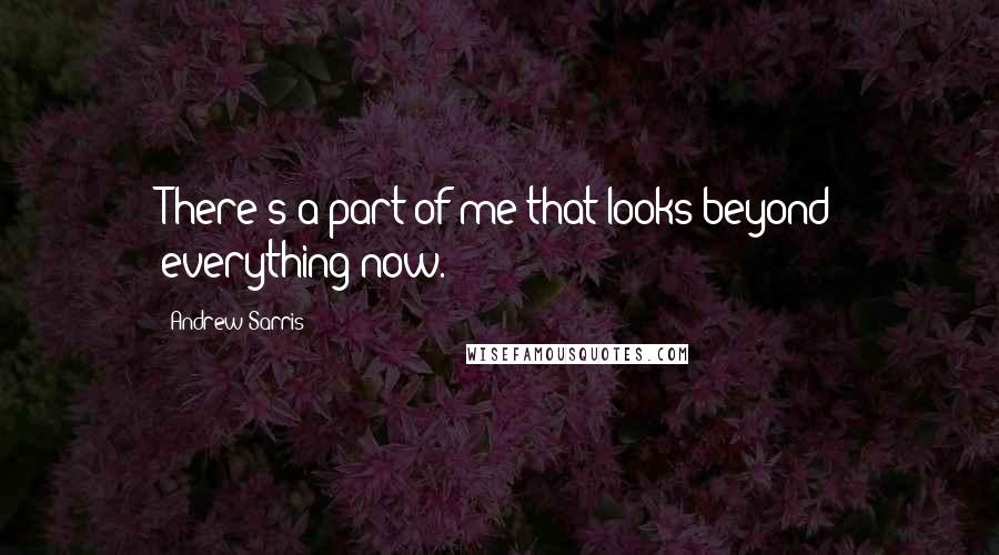 Andrew Sarris Quotes: There's a part of me that looks beyond everything now.