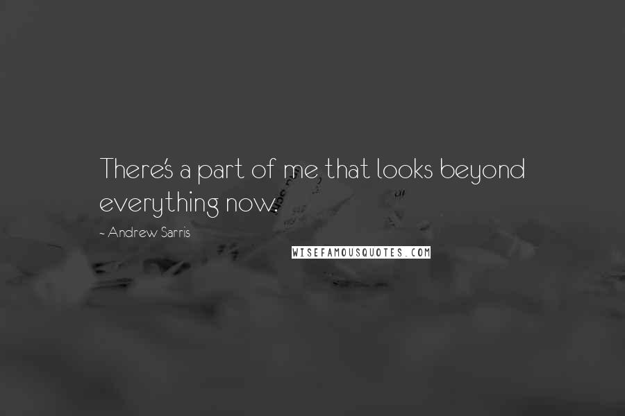 Andrew Sarris Quotes: There's a part of me that looks beyond everything now.