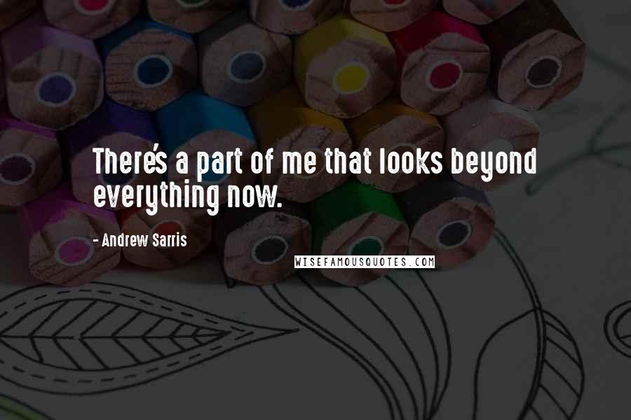 Andrew Sarris Quotes: There's a part of me that looks beyond everything now.
