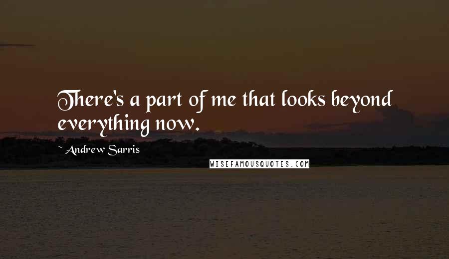 Andrew Sarris Quotes: There's a part of me that looks beyond everything now.