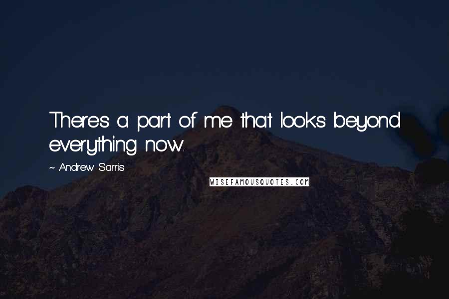 Andrew Sarris Quotes: There's a part of me that looks beyond everything now.