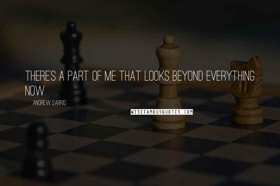 Andrew Sarris Quotes: There's a part of me that looks beyond everything now.