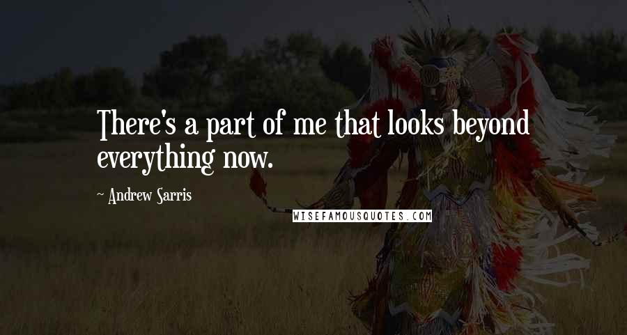 Andrew Sarris Quotes: There's a part of me that looks beyond everything now.
