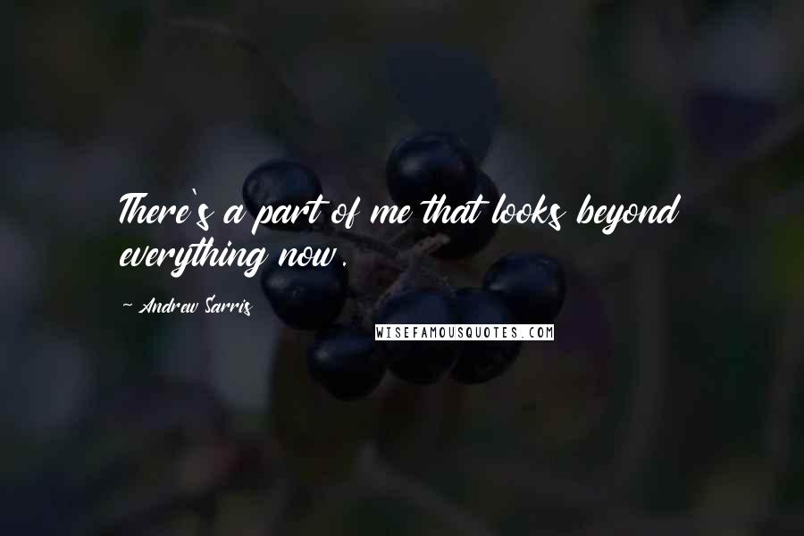 Andrew Sarris Quotes: There's a part of me that looks beyond everything now.