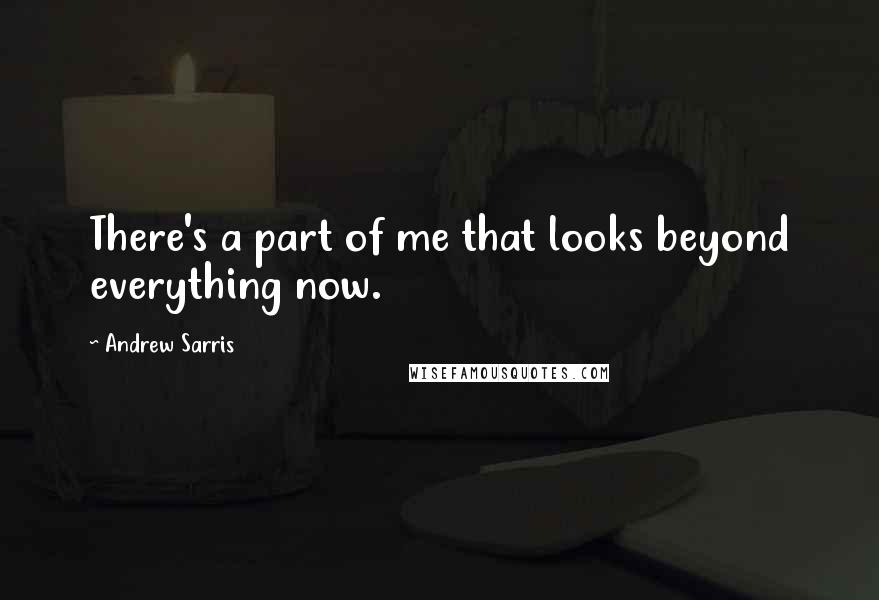 Andrew Sarris Quotes: There's a part of me that looks beyond everything now.