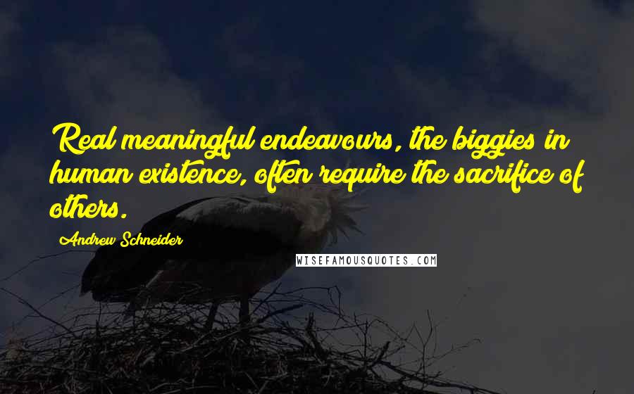 Andrew Schneider Quotes: Real meaningful endeavours, the biggies in human existence, often require the sacrifice of others.