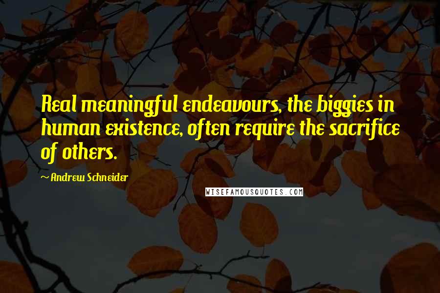 Andrew Schneider Quotes: Real meaningful endeavours, the biggies in human existence, often require the sacrifice of others.