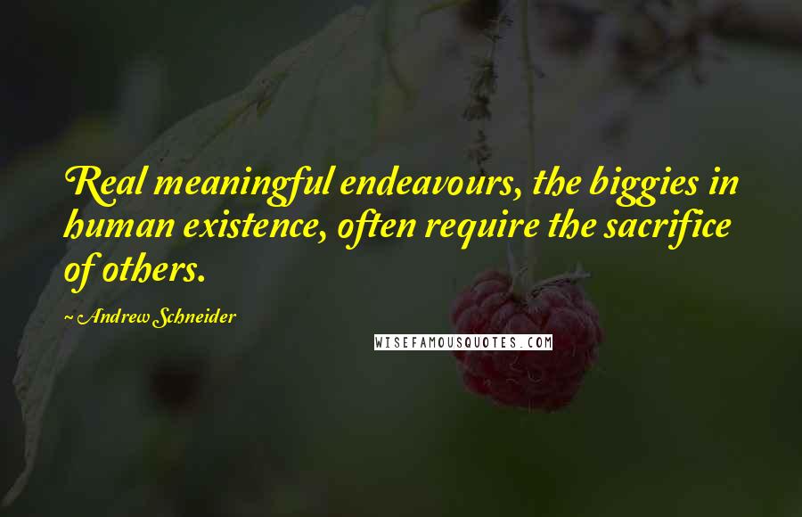 Andrew Schneider Quotes: Real meaningful endeavours, the biggies in human existence, often require the sacrifice of others.