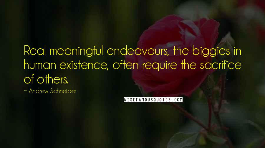 Andrew Schneider Quotes: Real meaningful endeavours, the biggies in human existence, often require the sacrifice of others.