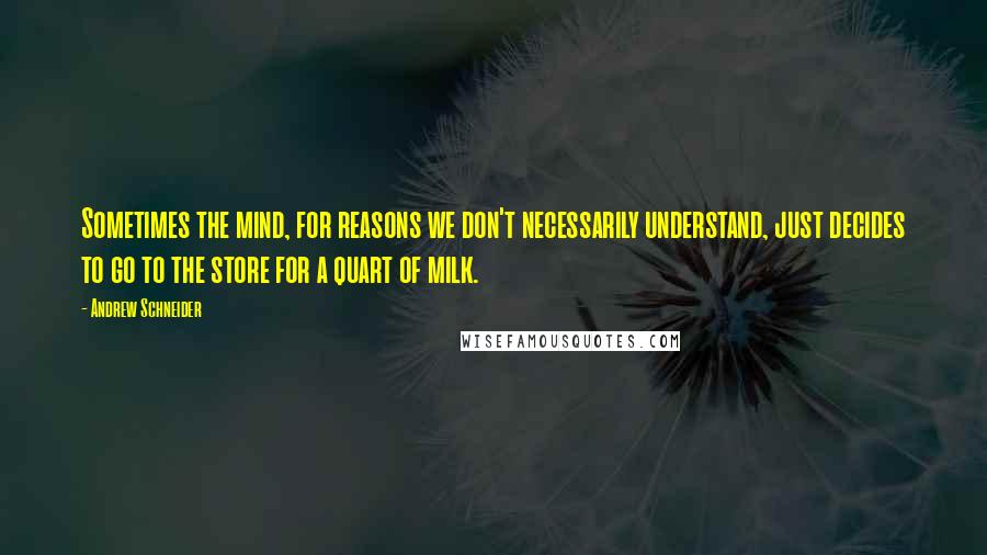 Andrew Schneider Quotes: Sometimes the mind, for reasons we don't necessarily understand, just decides to go to the store for a quart of milk.