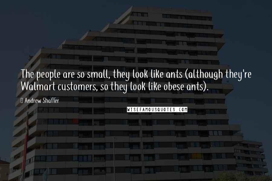 Andrew Shaffer Quotes: The people are so small, they look like ants (although they're Walmart customers, so they look like obese ants).