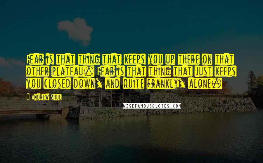 Andrew Shue Quotes: Fear is that thing that keeps you up there on that other plateau. Fear is that thing that just keeps you closed down, and quite frankly, alone.