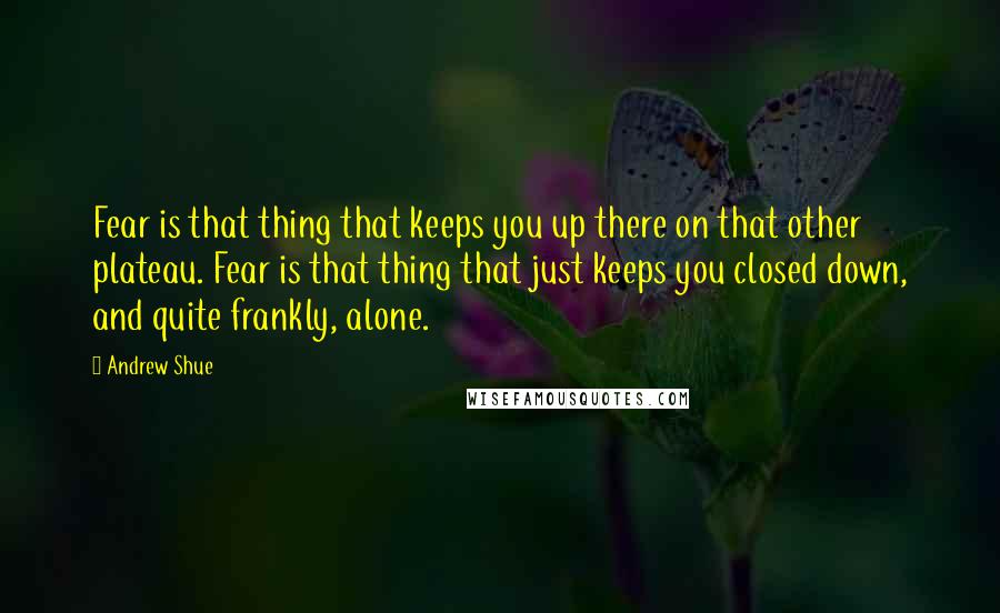 Andrew Shue Quotes: Fear is that thing that keeps you up there on that other plateau. Fear is that thing that just keeps you closed down, and quite frankly, alone.